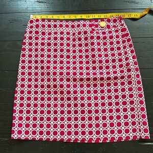 Ann Taylor Skirt 10P